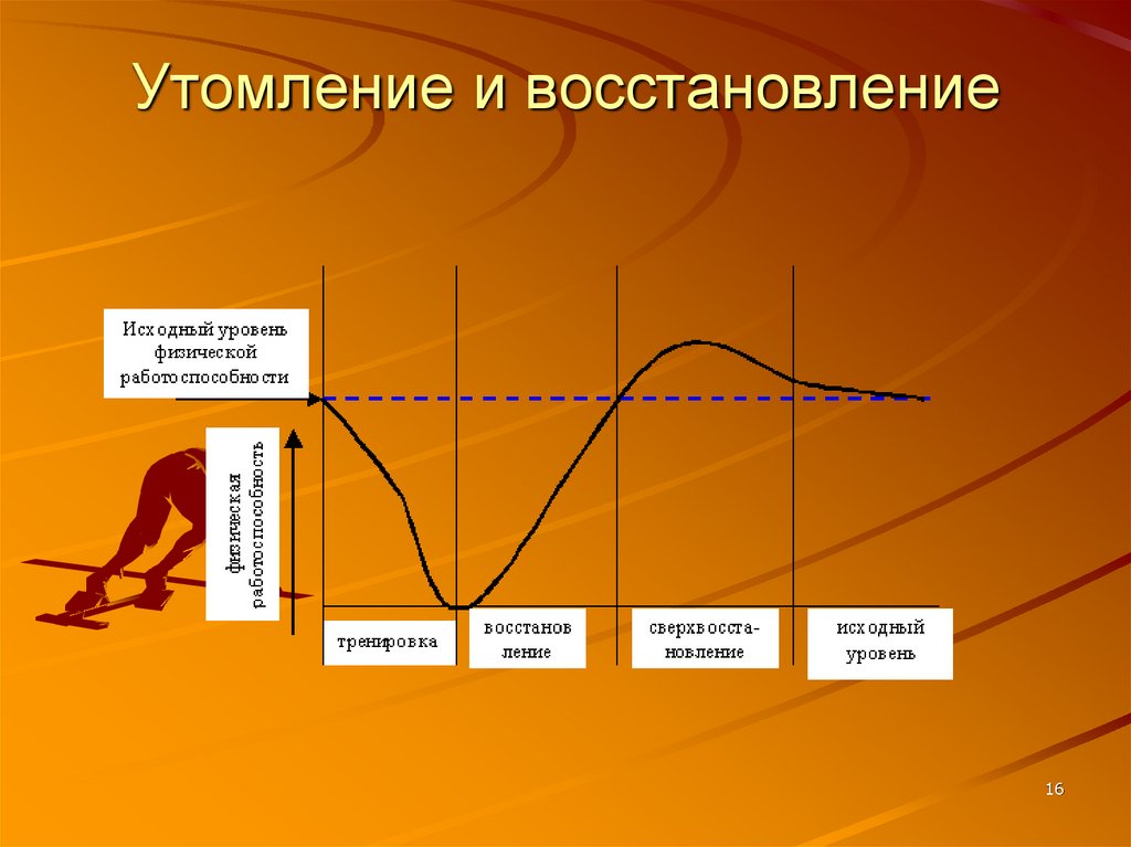 Утомление и восстановление