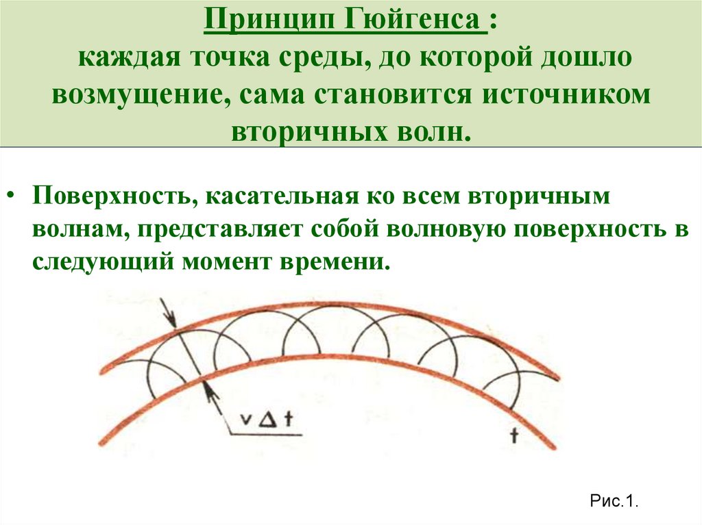 Принцип Гюйгенса : каждая точка среды, до которой дошло возмущение, сама становится источником вторичных волн.