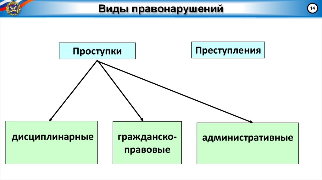 Виды правонарушений