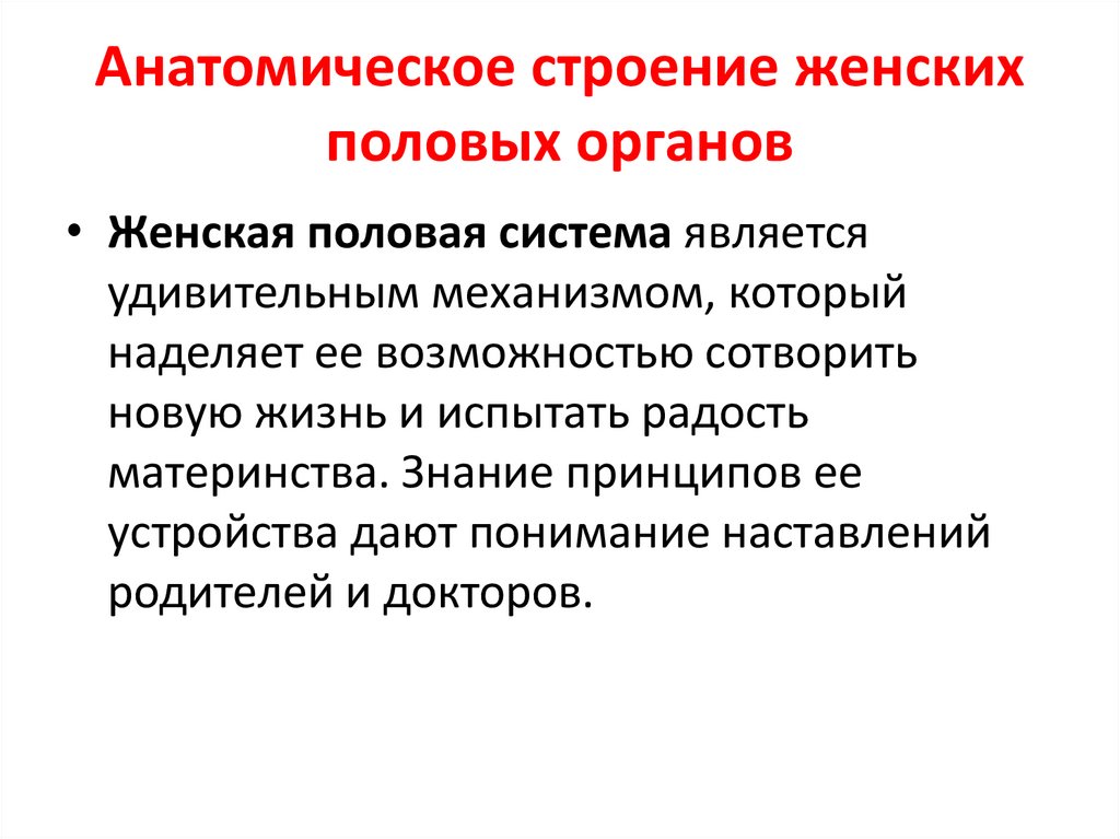 Анатомическое строение женских половых органов