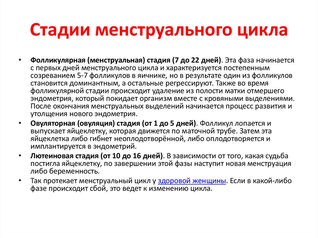 Стадии менструального цикла