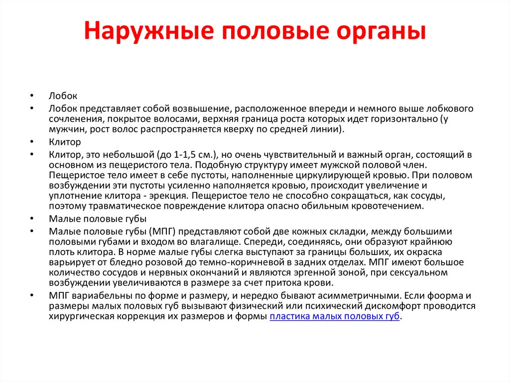 Наружные половые органы