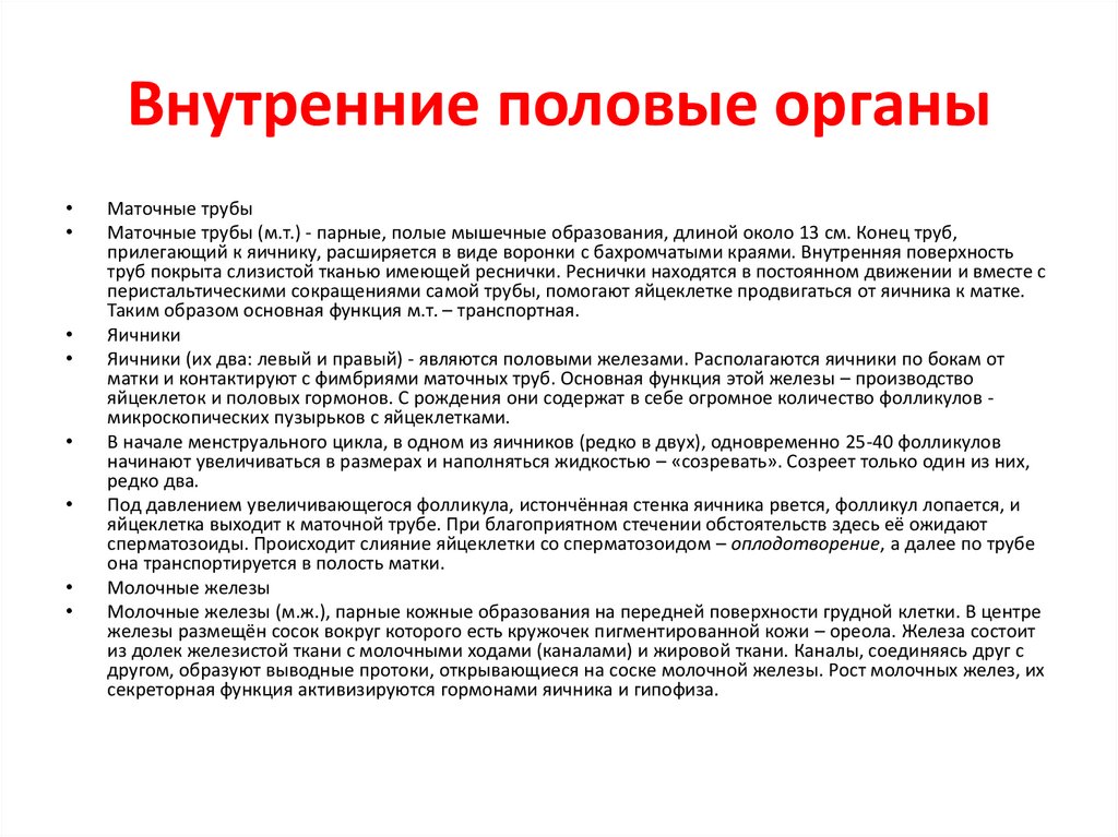 Внутренние половые органы