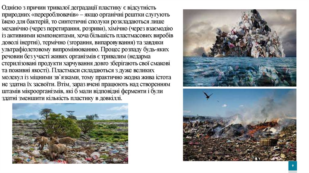 Однією з причин тривалої деградації пластику є відсутність природних «перероблювачів» – якщо органічні рештки слугують їжею для