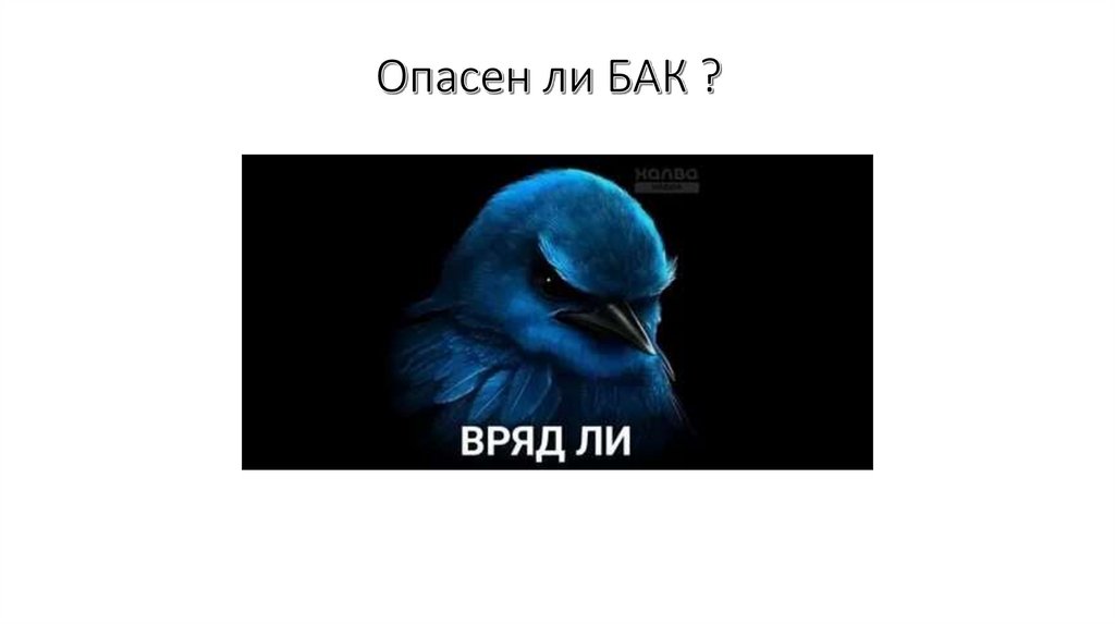 Опасен ли БАК ?