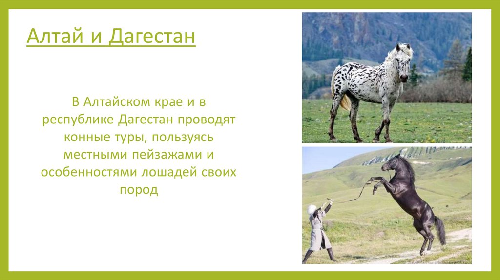 Алтай и Дагестан