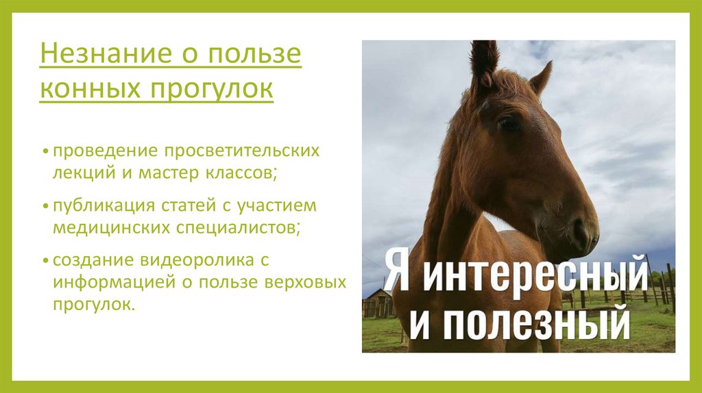 Незнание о пользе конных прогулок