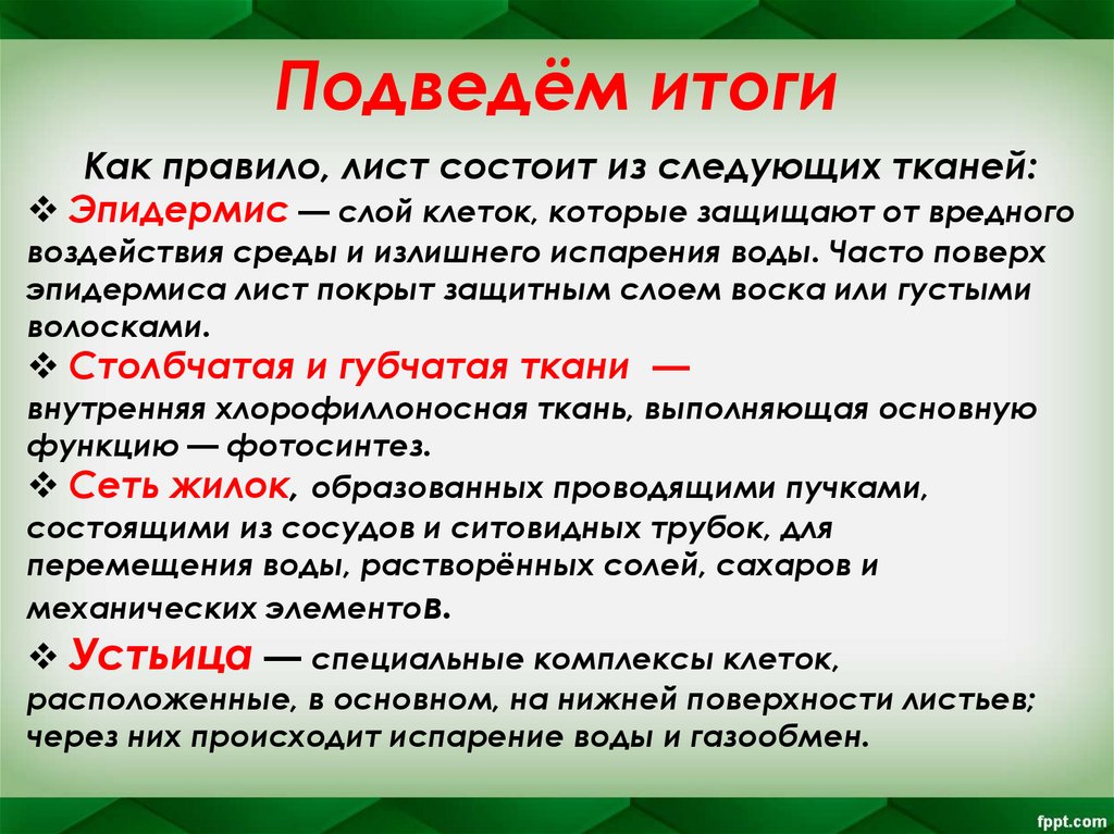 Подведём итоги