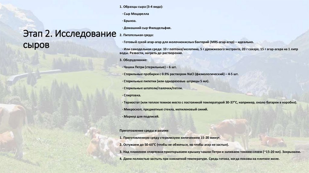 Этап 2. Исследование сыров