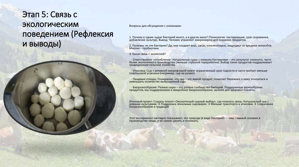 Этап 5: Связь с экологическим поведением (Рефлексия и выводы)