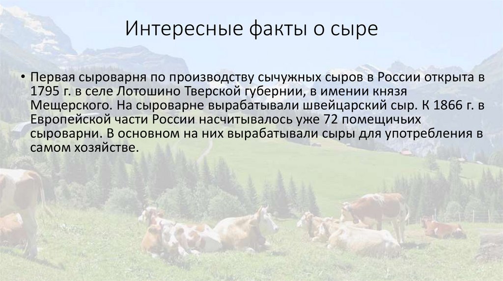Интересные факты о сыре