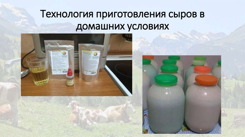 Технология приготовления сыров в домашних условиях