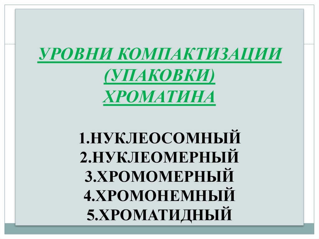 УРОВНИ КОМПАКТИЗАЦИИ (УПАКОВКИ) ХРОМАТИНА 1.НУКЛЕОСОМНЫЙ 2.НУКЛЕОМЕРНЫЙ 3.ХРОМОМЕРНЫЙ 4.ХРОМОНЕМНЫЙ 5.ХРОМАТИДНЫЙ