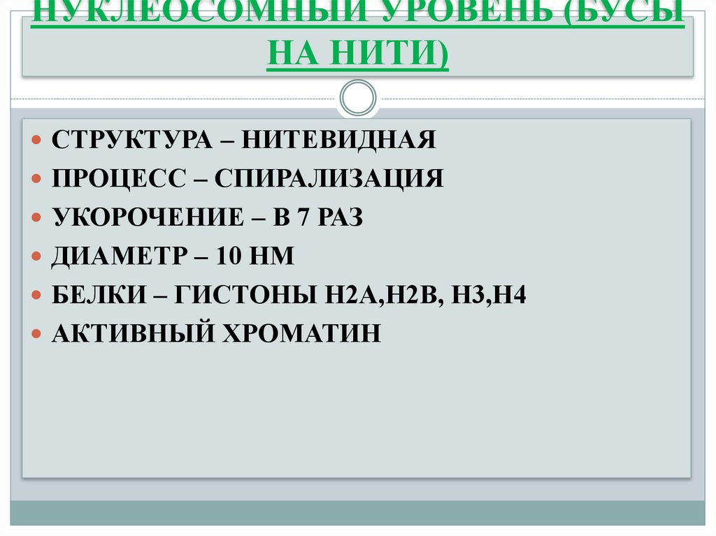 НУКЛЕОСОМНЫЙ УРОВЕНЬ (БУСЫ НА НИТИ)