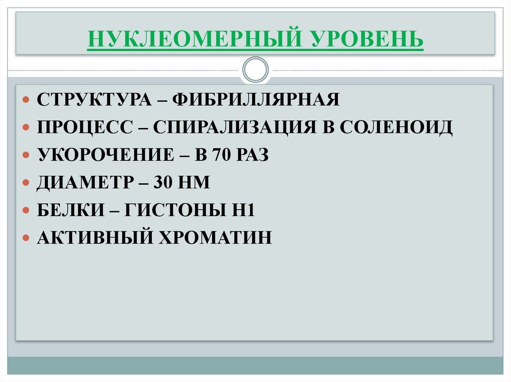 НУКЛЕОМЕРНЫЙ УРОВЕНЬ