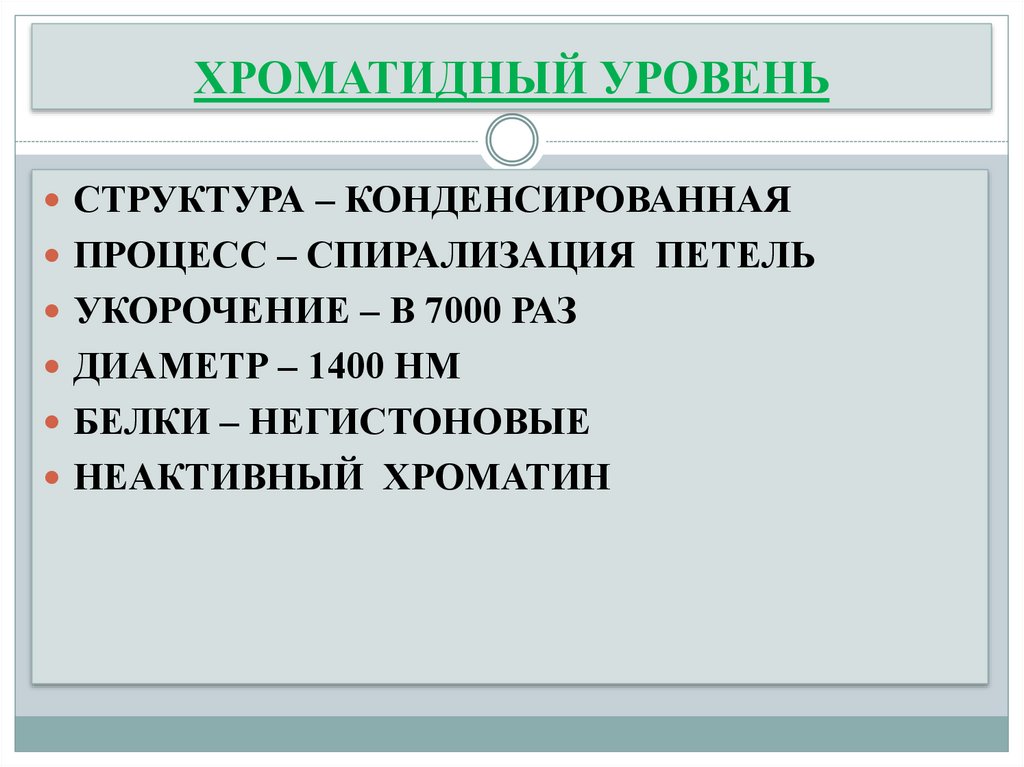 ХРОМАТИДНЫЙ УРОВЕНЬ