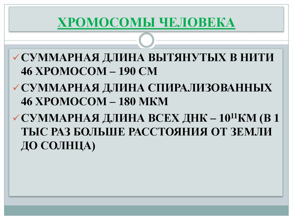 ХРОМОСОМЫ ЧЕЛОВЕКА