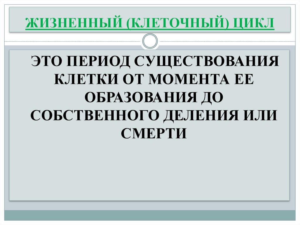 ЖИЗНЕННЫЙ (КЛЕТОЧНЫЙ) ЦИКЛ