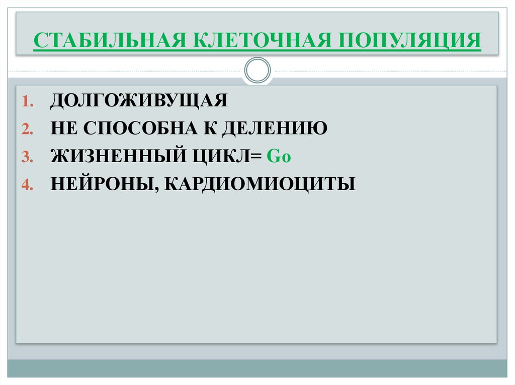 СТАБИЛЬНАЯ КЛЕТОЧНАЯ ПОПУЛЯЦИЯ
