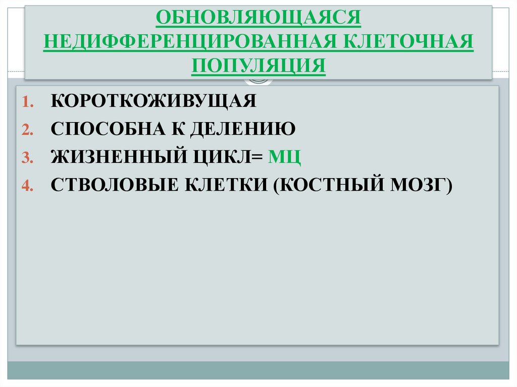 ОБНОВЛЯЮЩАЯСЯ НЕДИФФЕРЕНЦИРОВАННАЯ КЛЕТОЧНАЯ ПОПУЛЯЦИЯ