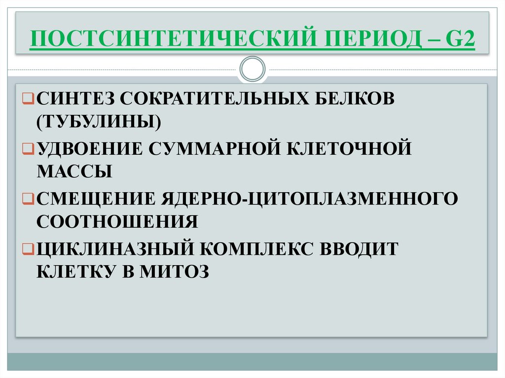 ПОСТСИНТЕТИЧЕСКИЙ ПЕРИОД – G2