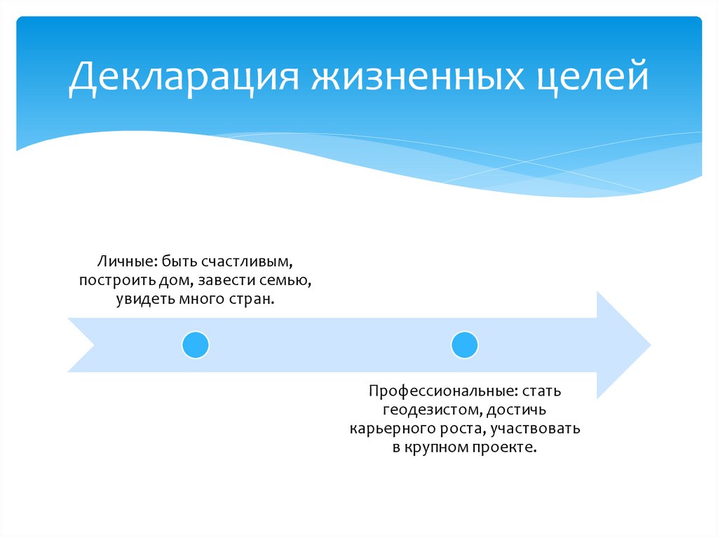 Декларация жизненных целей