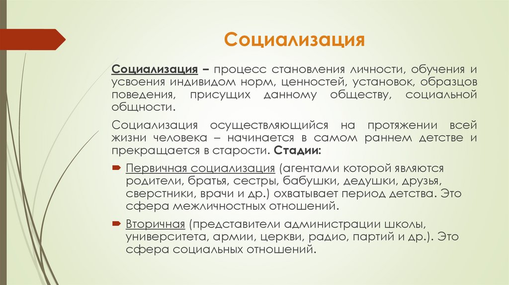 Социализация