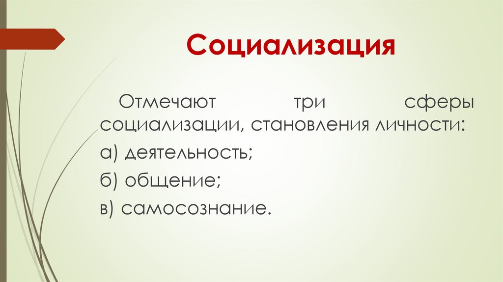 Социализация