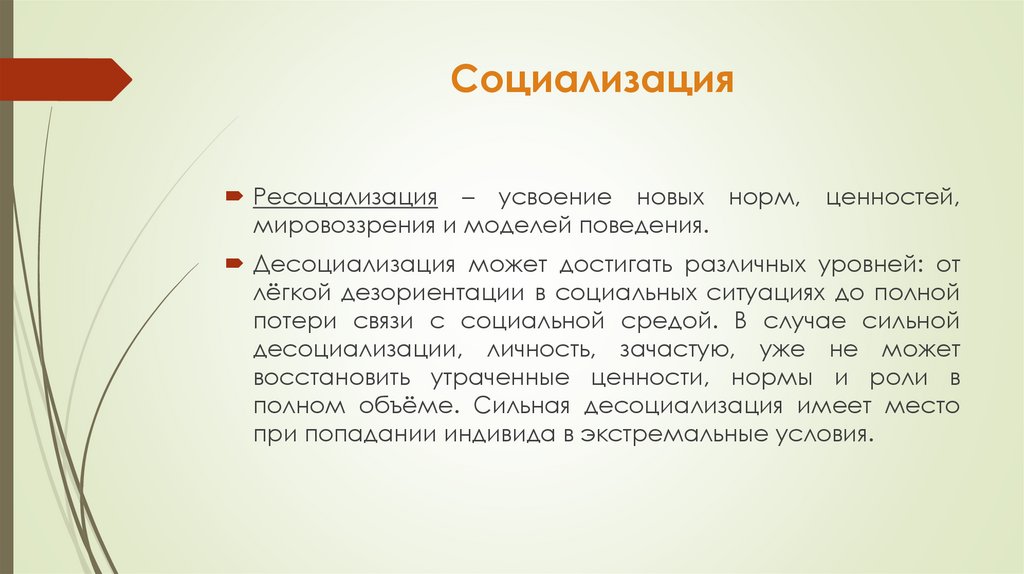 Социализация