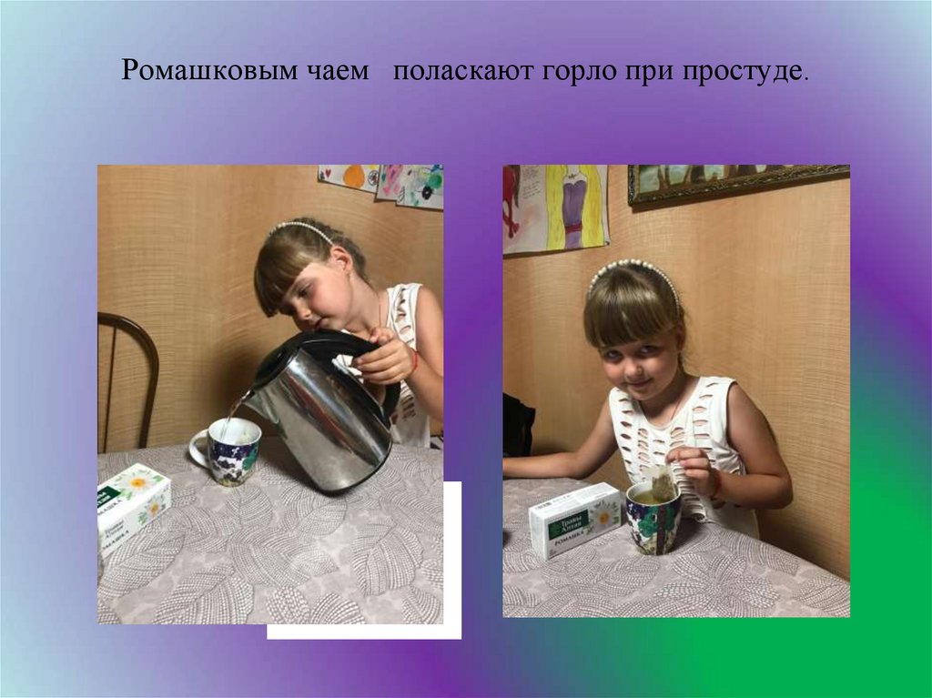 Ромашковым чаем поласкают горло при простуде. Ромашковый чай помогает при болях в животе.