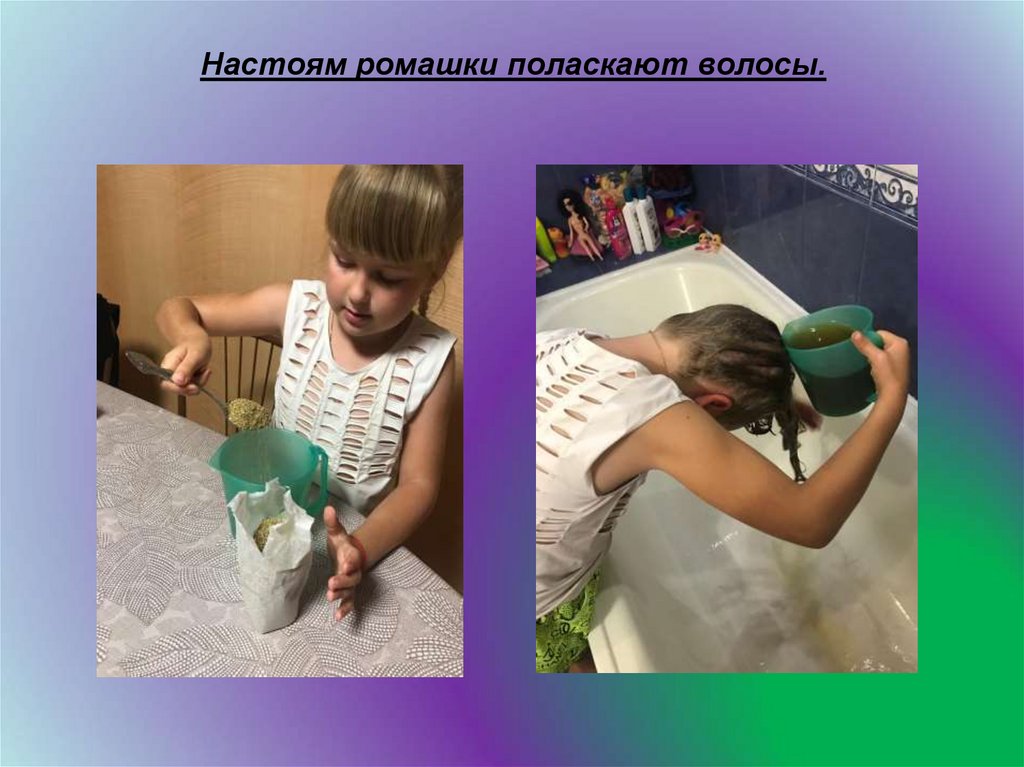 Настоям ромашки поласкают волосы.