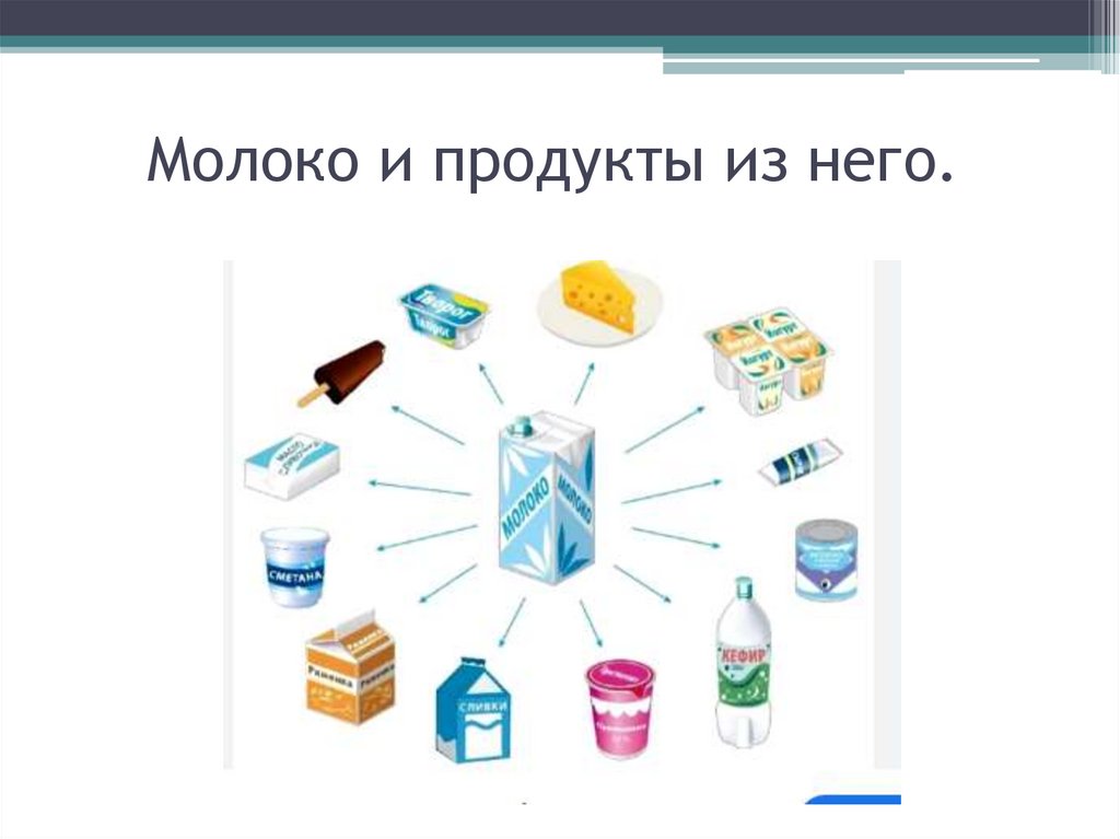 Молоко и продукты из него.