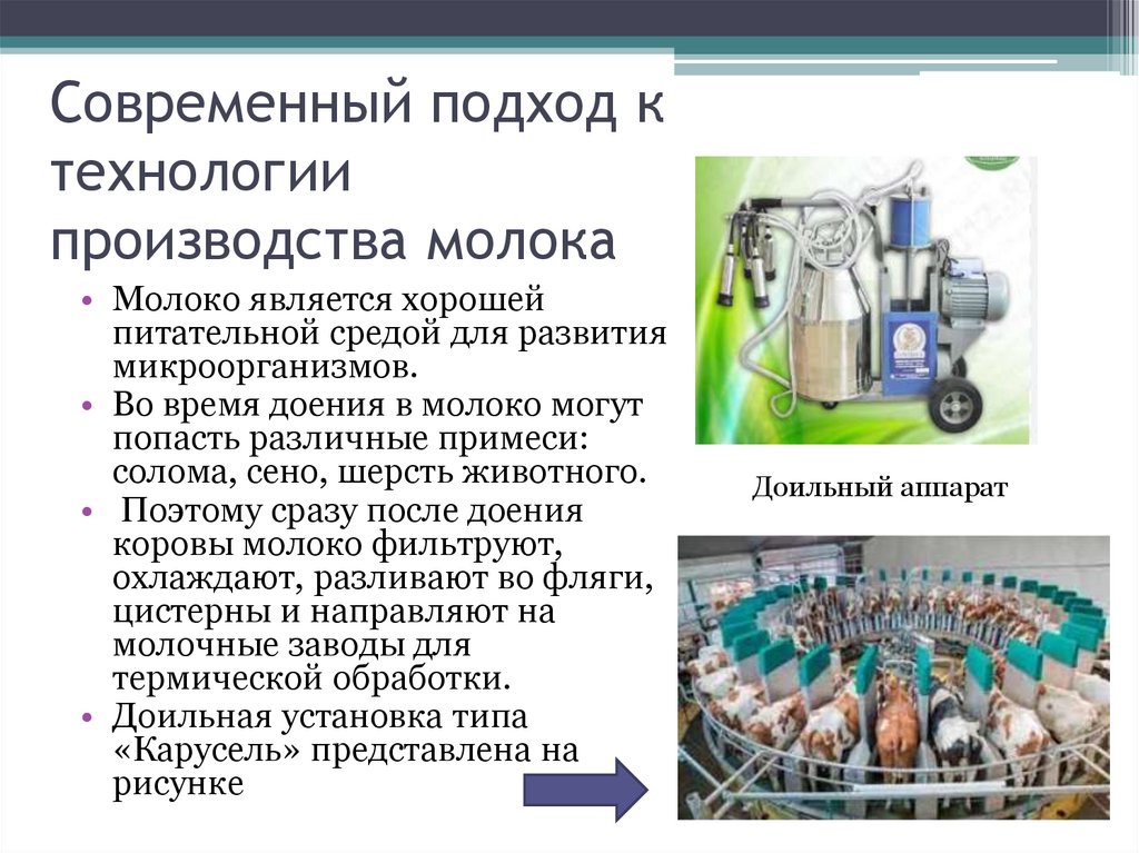 Современный подход к технологии производства молока