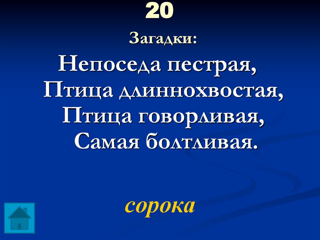 20 Загадки: