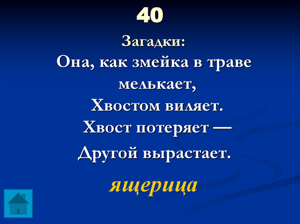 40 Загадки: