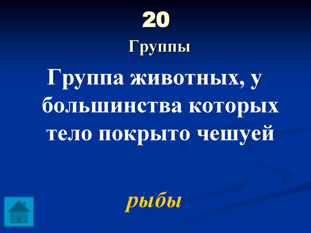 20 Группы