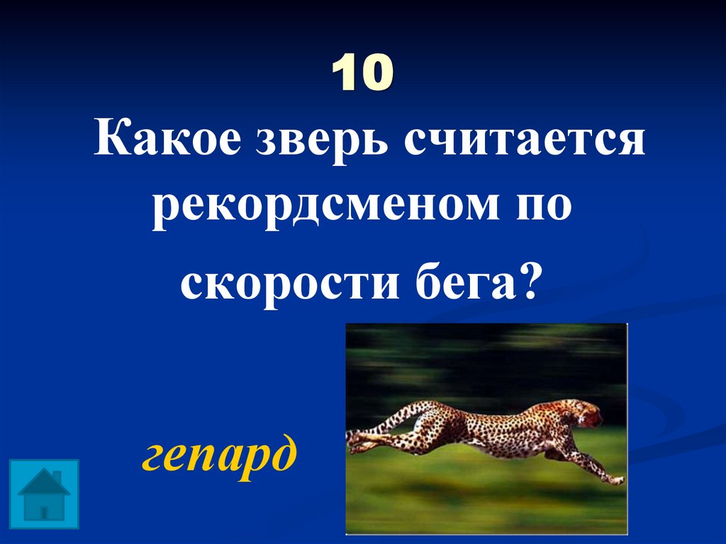 10 Какое зверь считается рекордсменом по скорости бега?