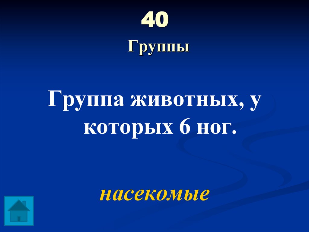 40 Группы