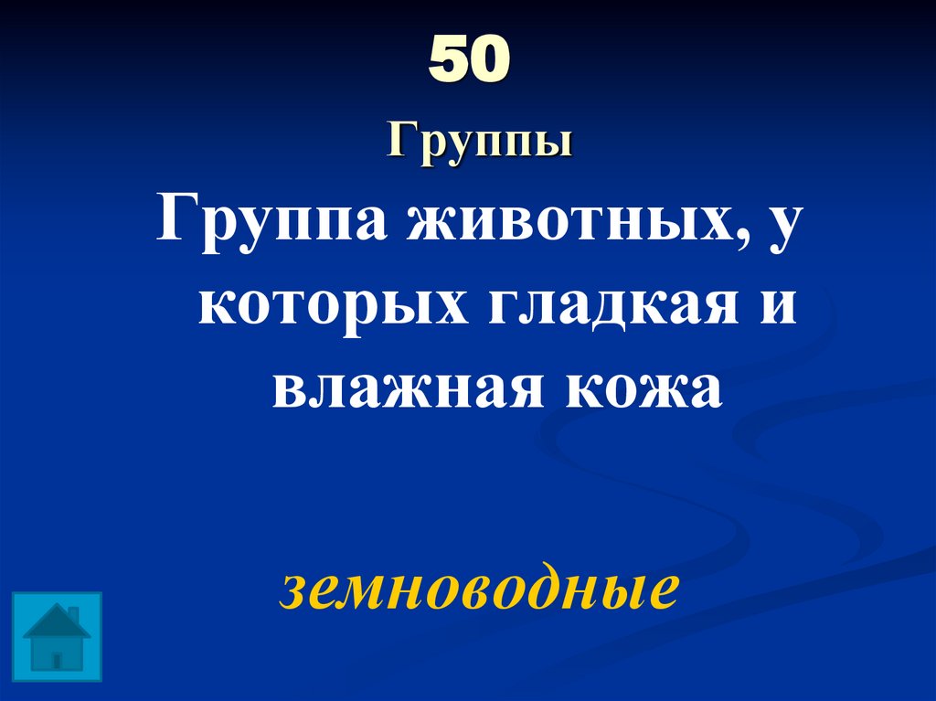 50 Группы