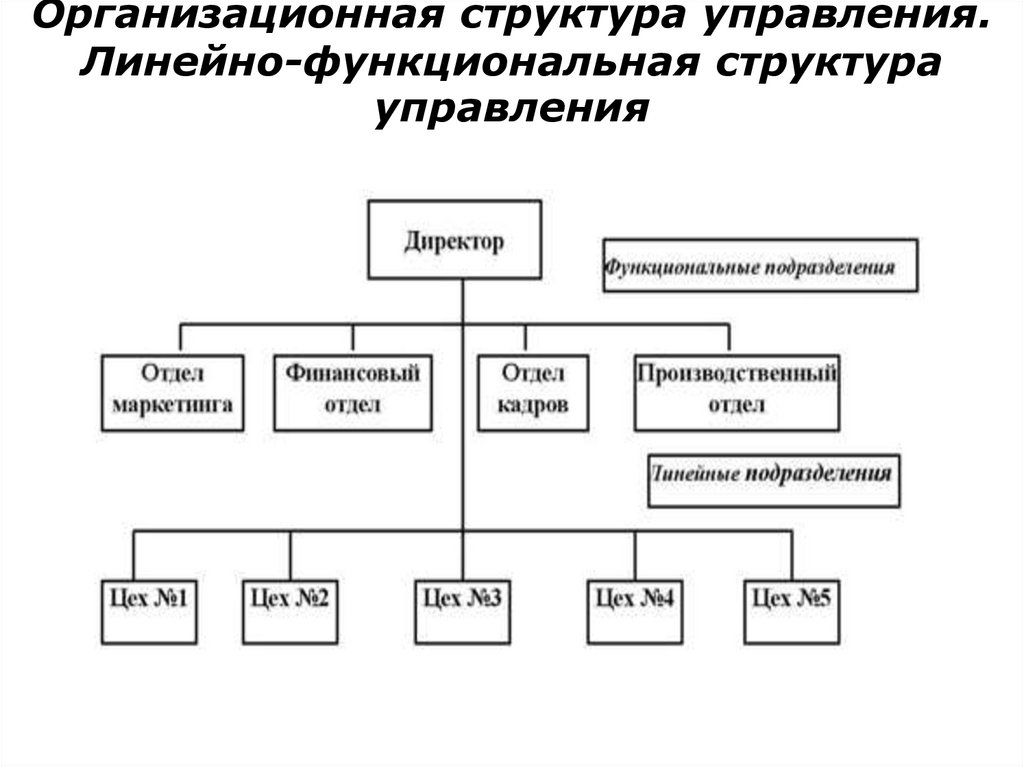 Организационная структура управления. Линейно-функциональная структура управления