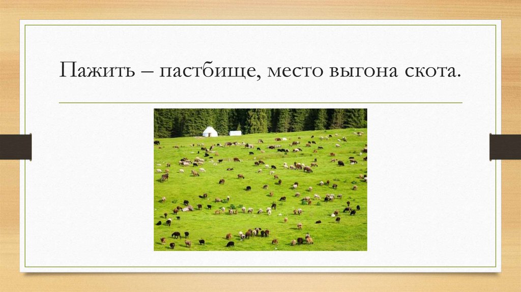 Пажить – пастбище, место выгона скота.