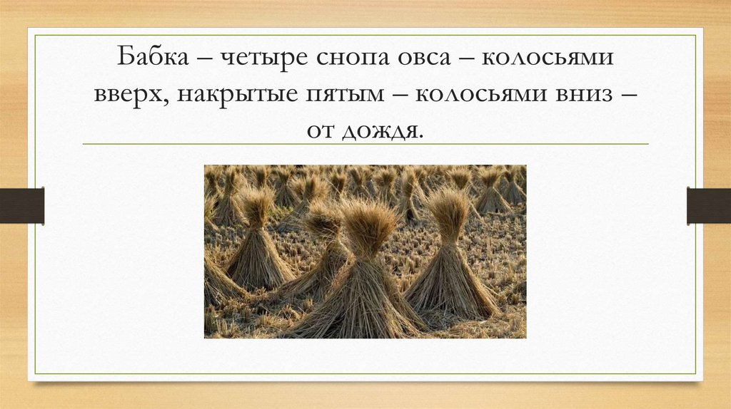 Бабка – четыре снопа овса – колосьями вверх, накрытые пятым – колосьями вниз – от дождя.