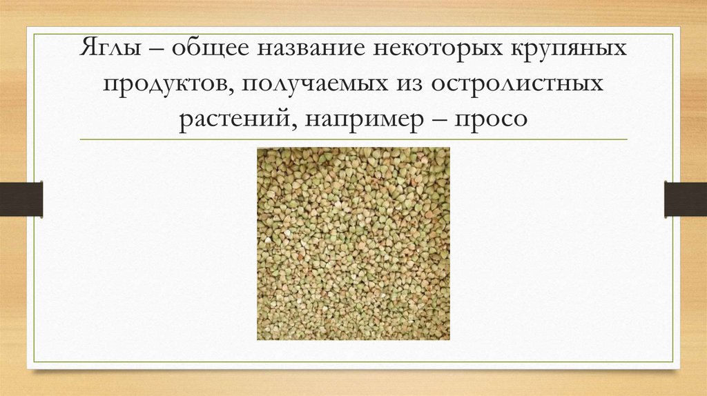 Яглы – общее название некоторых крупяных продуктов, получаемых из остролистных растений, например – просо