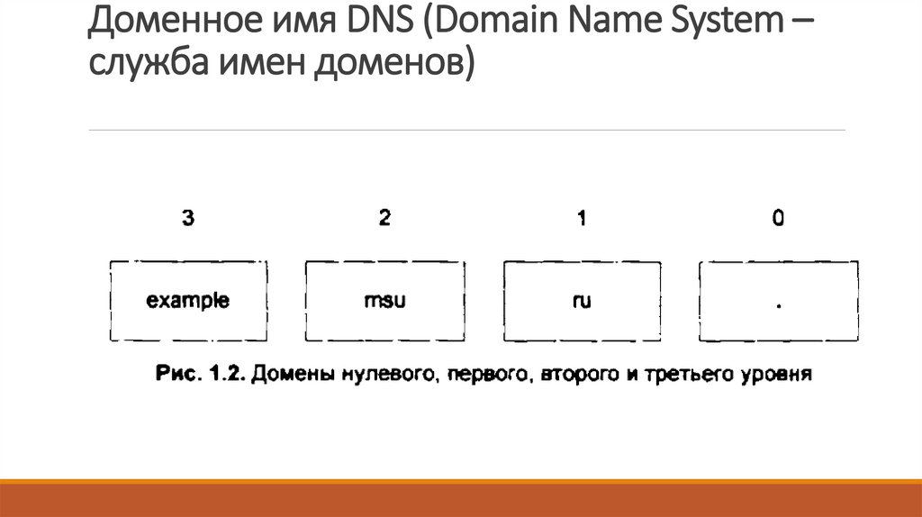 Доменное имя DNS (Domain Name System – служба имен доменов)