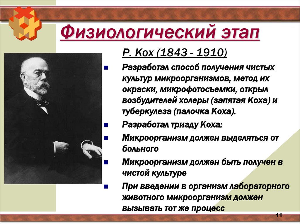 Физиологический этап