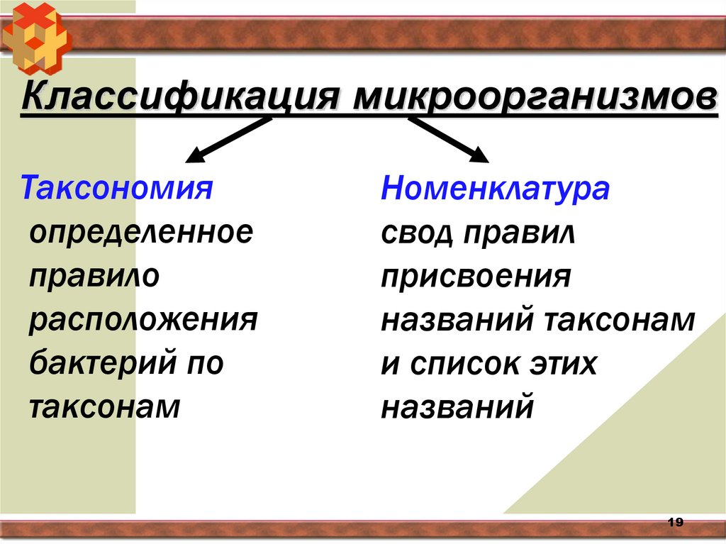 Классификация микроорганизмов
