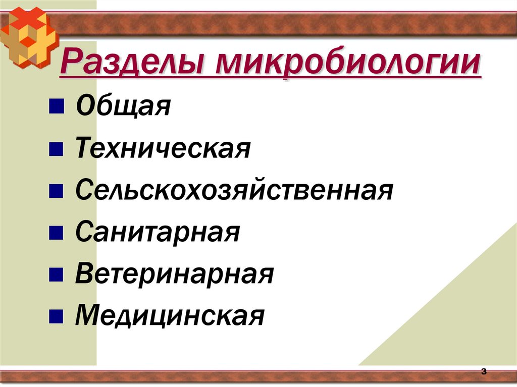 Разделы микробиологии