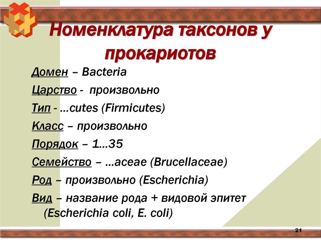 Номенклатура таксонов у прокариотов