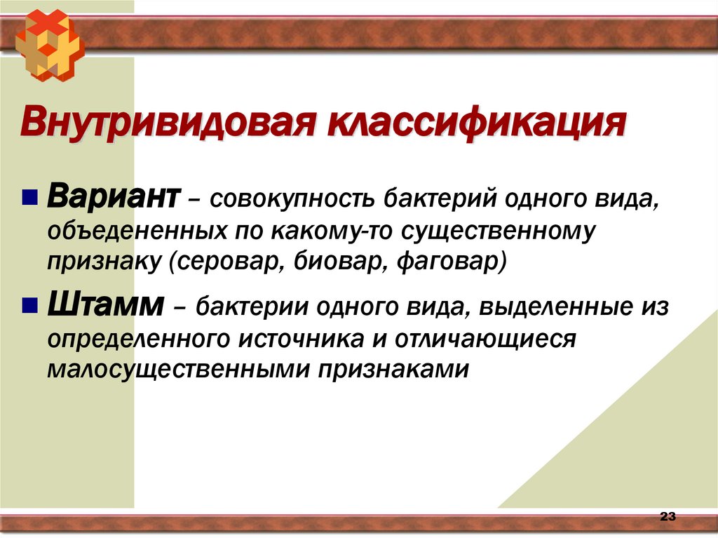 Внутривидовая классификация