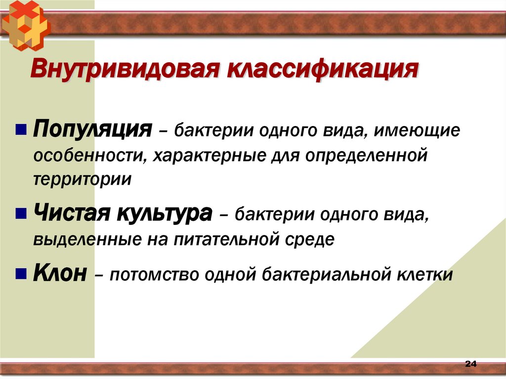 Внутривидовая классификация